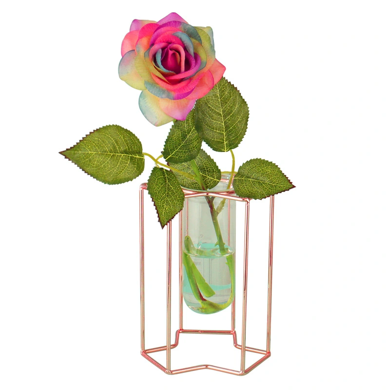 Light Luxury Ornaments Hydroponic Glass Vase