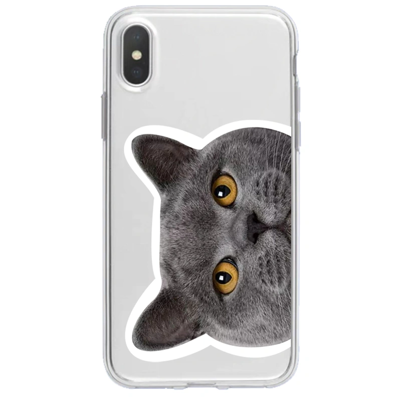 Compatible with Apple , Mobile Phone Creative Transparent Cat Printing Protective Cover