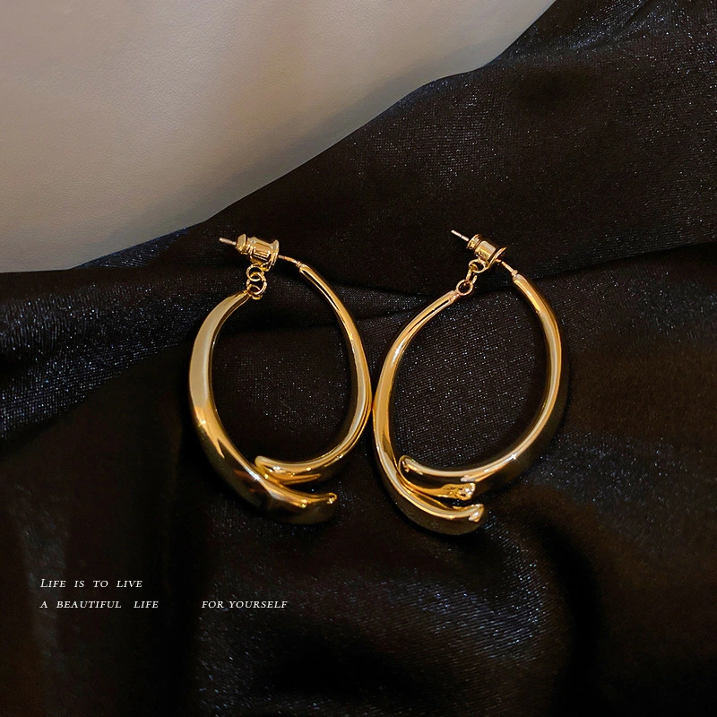 Silver Pin Double-sided Belt Plain Ring Earrings