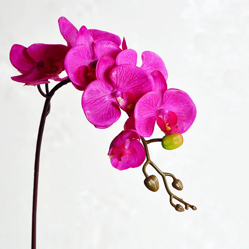 Phalaenopsis Simulation Single Floor Silk Decorative Flower