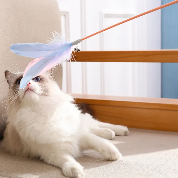 New Pet Cat Toy Products Feather Teasing  Stick