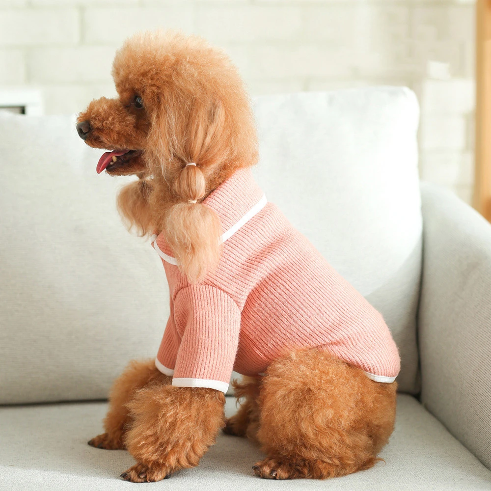 New Japanese And Korean Dog Lapel Knit Sweater