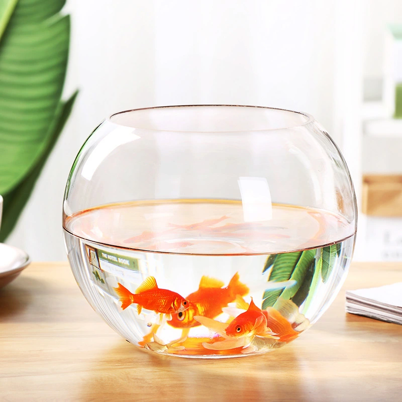 Transparent Glass Vase Flowers Aquatic Plants Utensils Fish Tank Living Room Decorations