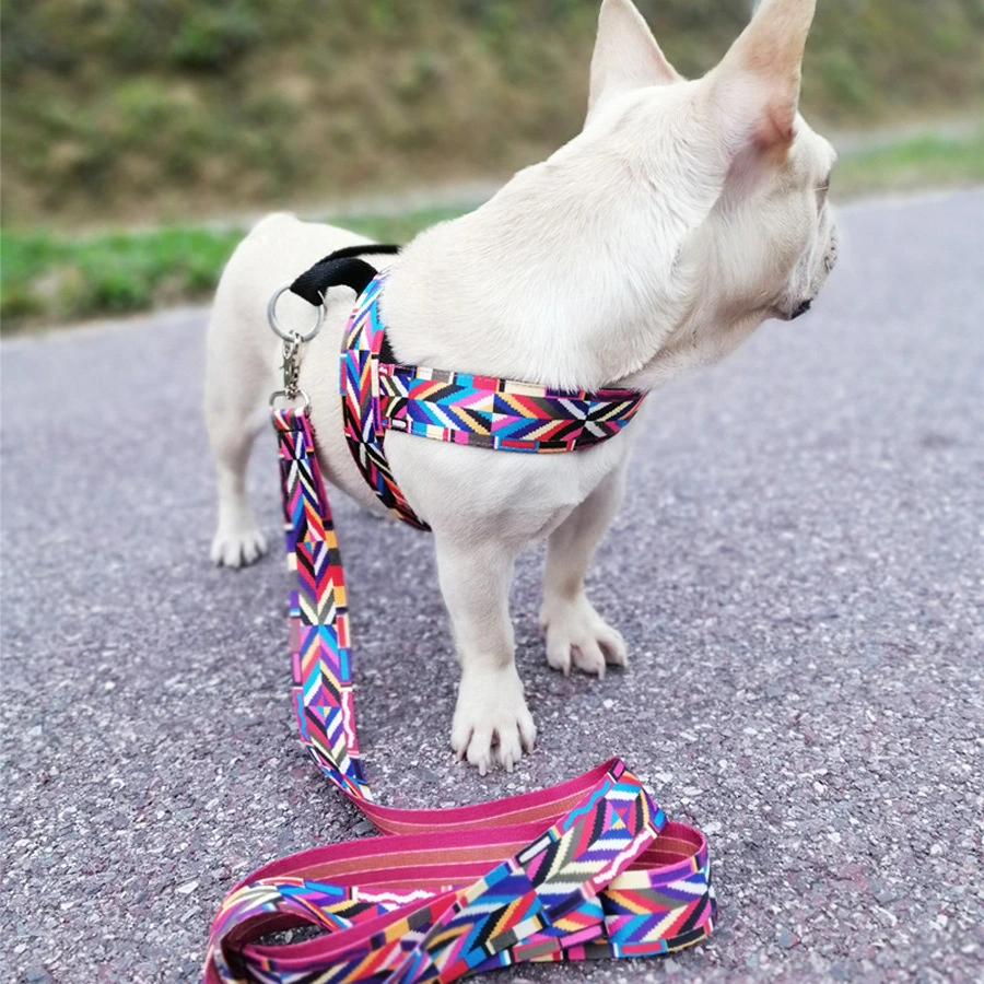 Pet Dog Chest Strap Design Small Outdoor