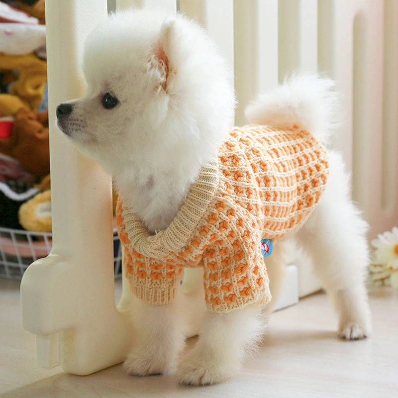 Pet Dog Cat Autumn And Winter New Style Dibi Bear Sweater