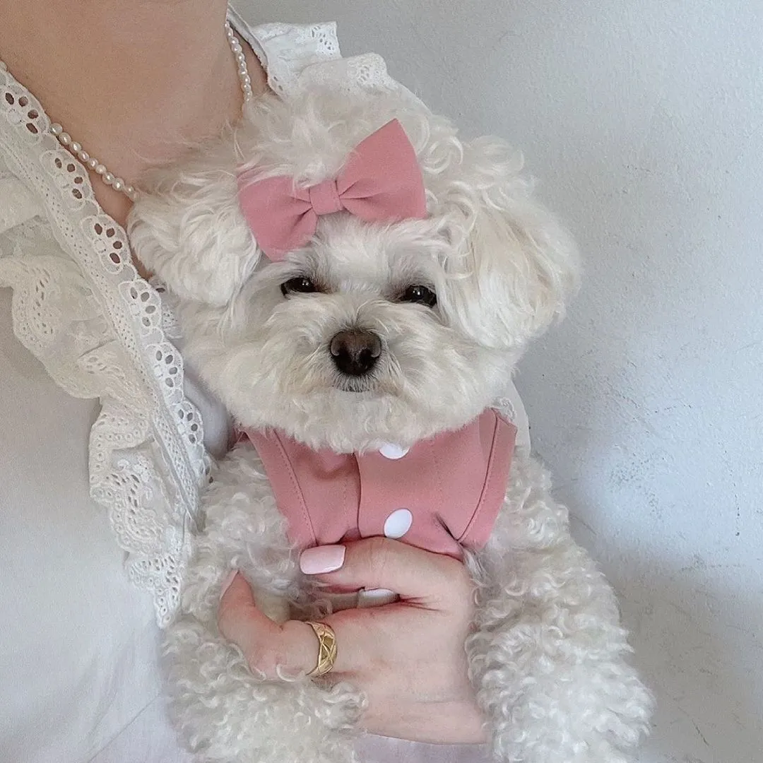 Lace Skirt Pet Dog Cat Skirt
