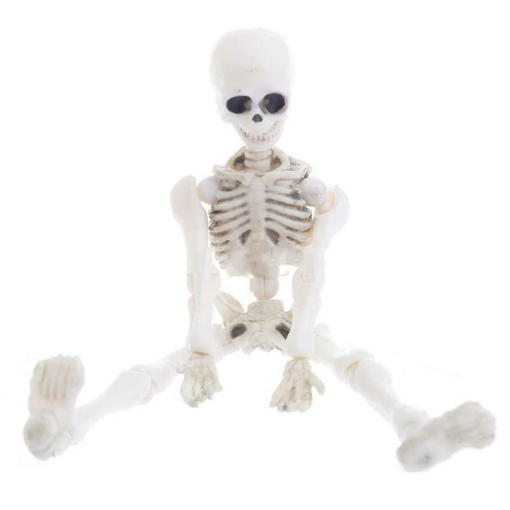 Skull Model Movable Doll 9CM