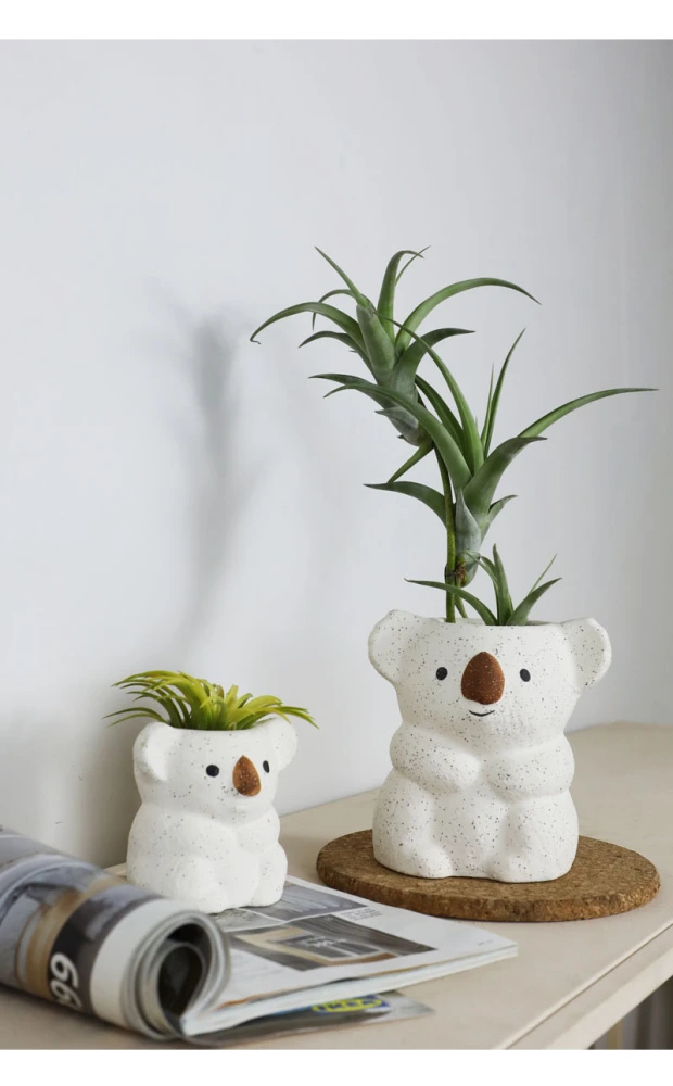 Air Plant Desktop Small Potted Nordic Ceramic Decoration