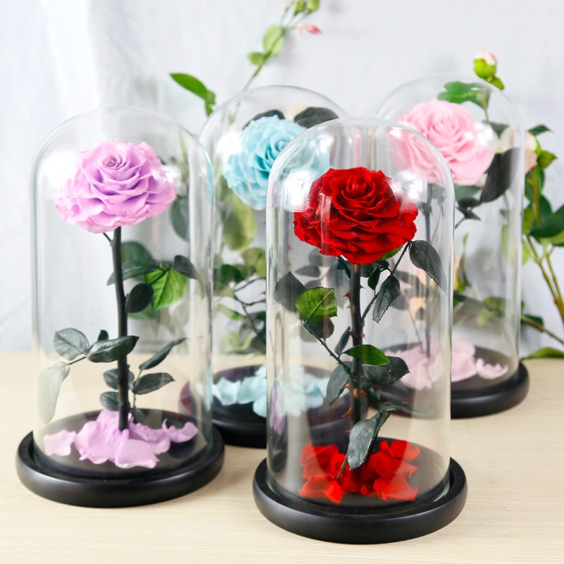 Preserved Flower Rose Finished Glass Cover Gift Box