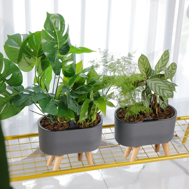 Automatic Water-absorbing Flower Pot Home Office Desktop Balcony