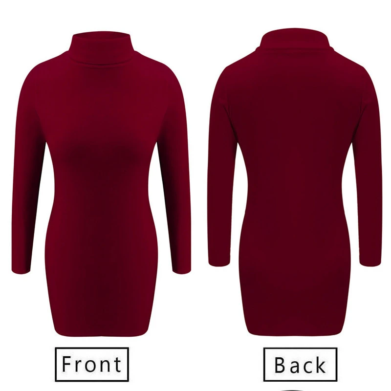Turtleneck skinny bag hip dress