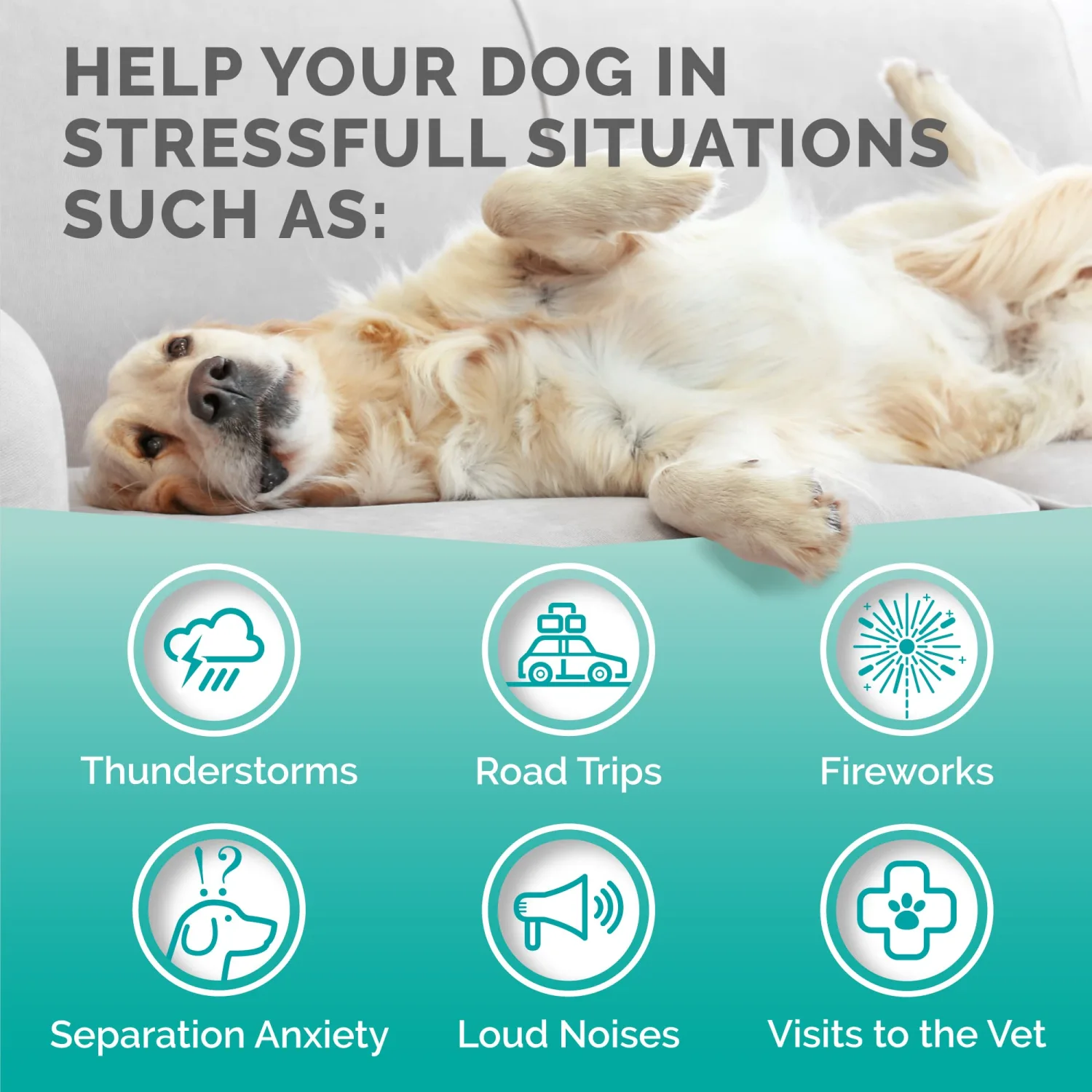 PREMIUM CARE Hemp Calming Chews for Dogs, 9.3 oz (264g), Duck Flavor, Calming Treats for Dogs, Dog Calming Chews, Dog Anxiety Chews, Anti Anxiety Relief, Valerian Root, L-Tryptophan, 120 Soft Chews