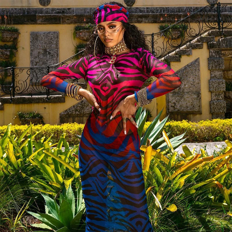 Sexy Mesh See-through Dress Printed Long-sleeved Midi Dress