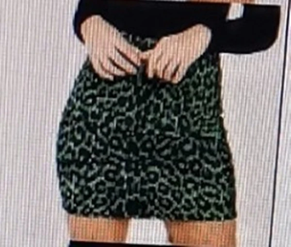 Leopard Print High Waist Bag Hip Skirt