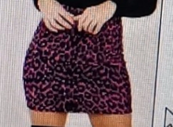 Leopard Print High Waist Bag Hip Skirt