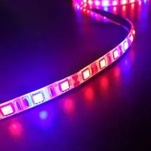 Plant Light Strip 5M 5050 Waterproof Full-spectrum Hydroponic Plants And Flowers