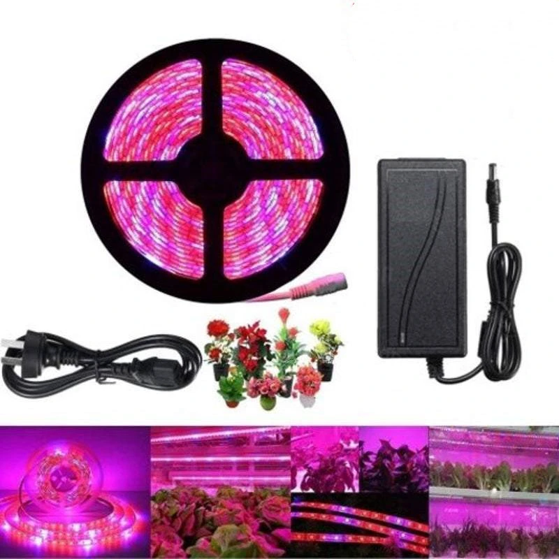 Plant Light Strip 5M 5050 Waterproof Full-spectrum Hydroponic Plants And Flowers
