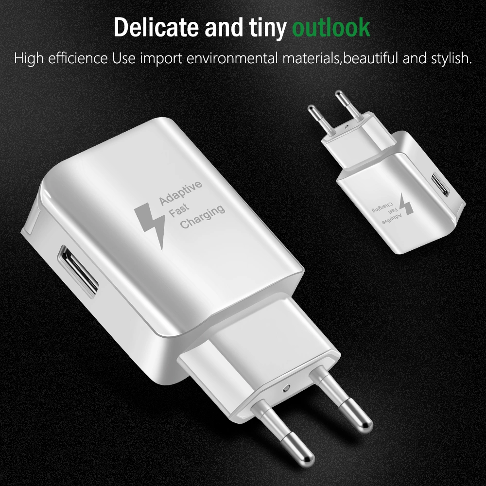 Mobile travel fast European and American charger