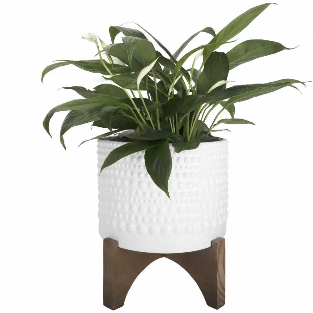 LA JOLIE MUSE Ceramic Planter with Wood Stand - 8 Inch White Cylinder Embossed Hobnail Patterned Flower Plant Pot Indoor