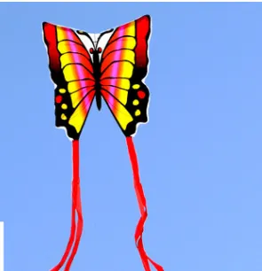 Children's cartoon fortune kite