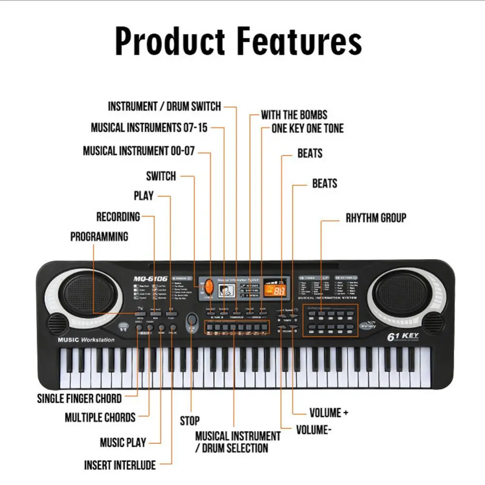 Children's electronic organ with microphone piano