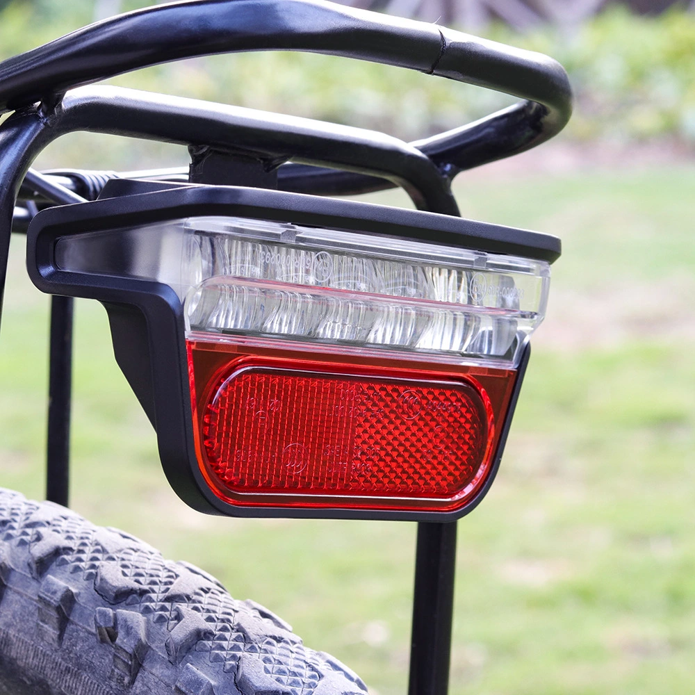 Electric vehicle combined tail light