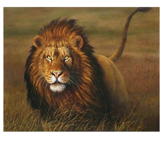 A Proud Lion - DIY Painting By Numbers Kit