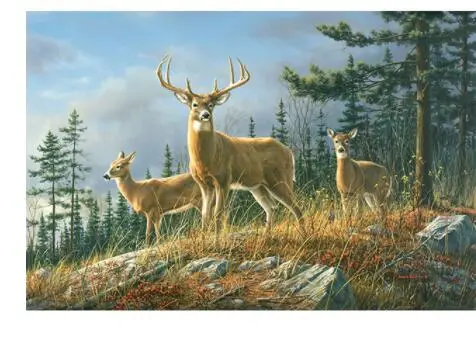 Autumn Whitetails - DIY Painting By Numbers Kit