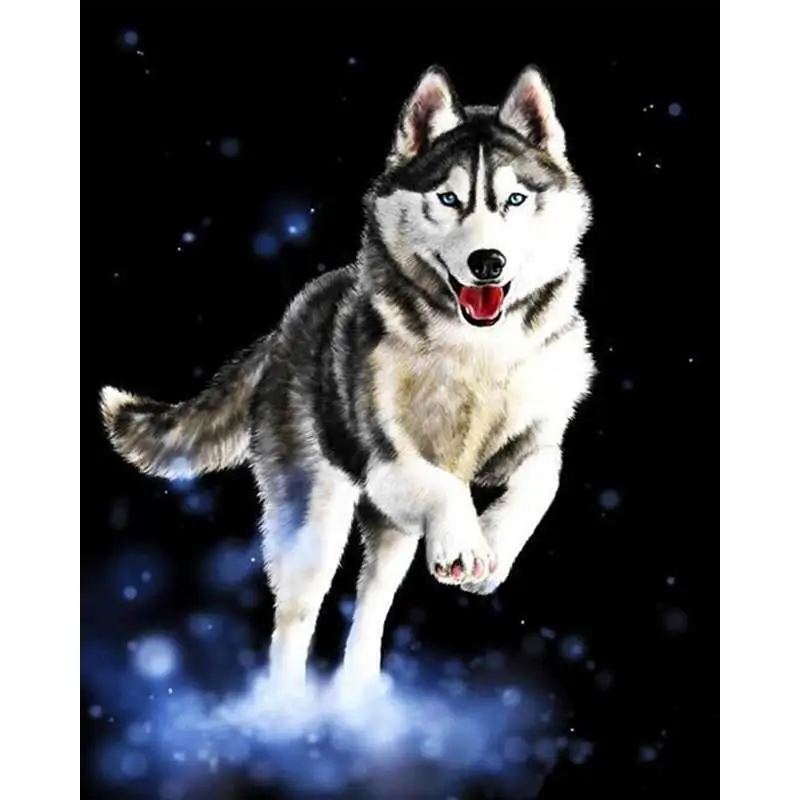 Digital Oil Painting Decoration Diy Custom Animal Wolf