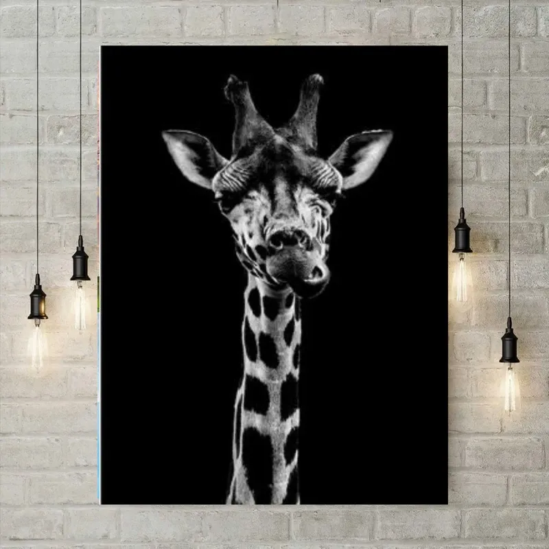 5D Diamond Painting - Black white giraffe