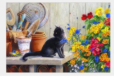 Cat In The Garden - DIY Painting By Numbers Kit