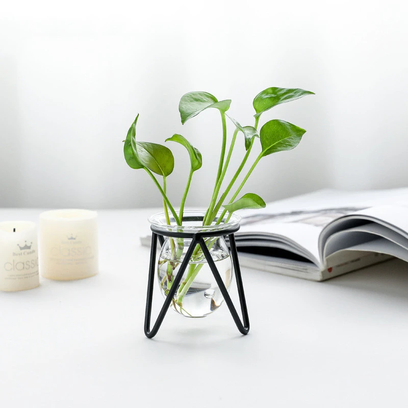 Decorated With Hydroponic Vase Decoration Living Room Dining Table Small  Creative Metal Decoration Glass Test Tube