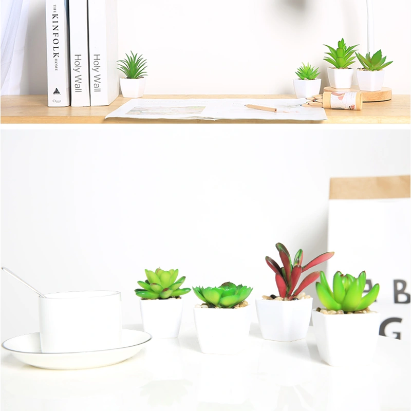 Simulated succulents mini potted plants