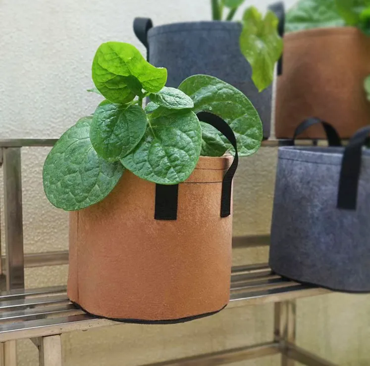 Nutrient plant bag in nursery box