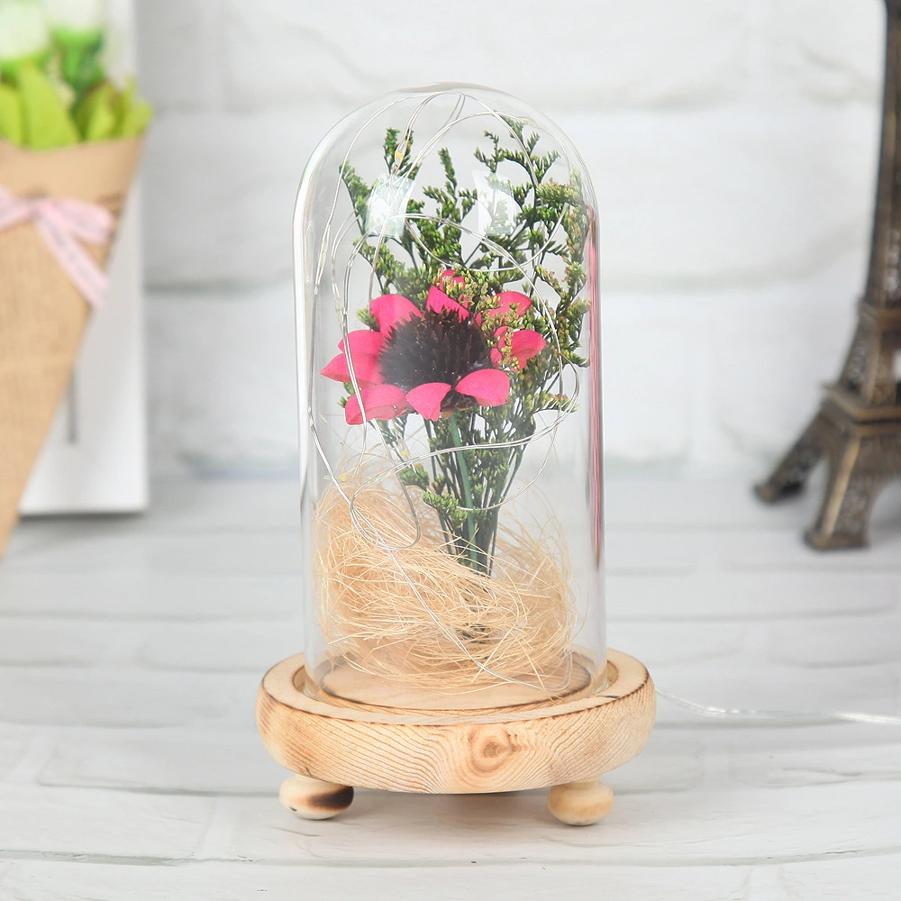 Dried Flower Decoration Transparent Micro Landscape Sun Flower Glass Cover