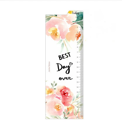 Loose-Leaf Multifunctional Plastic Ruler