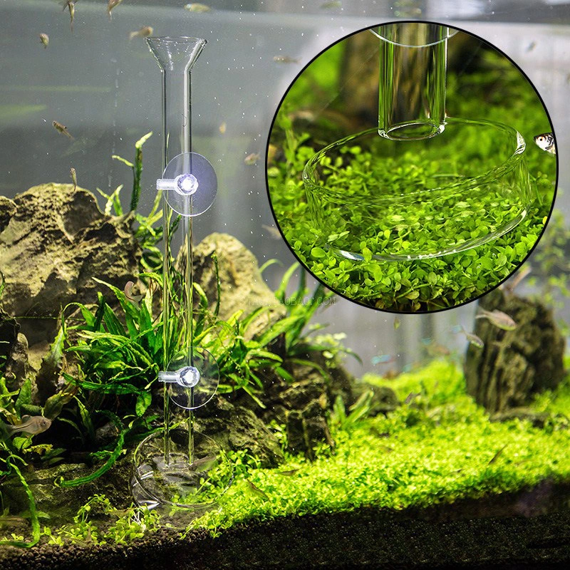 Fish Tank Feeding Tube Crystal Shrimp Feeder