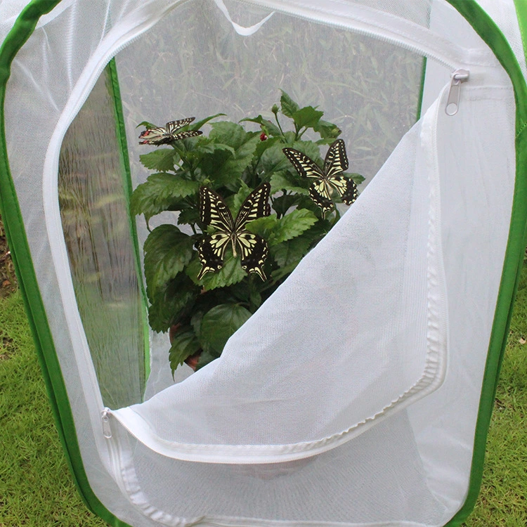 Butterfly Cage Insect-Proof Net Butterfly Pet Cage Seedling Transparent Incubator