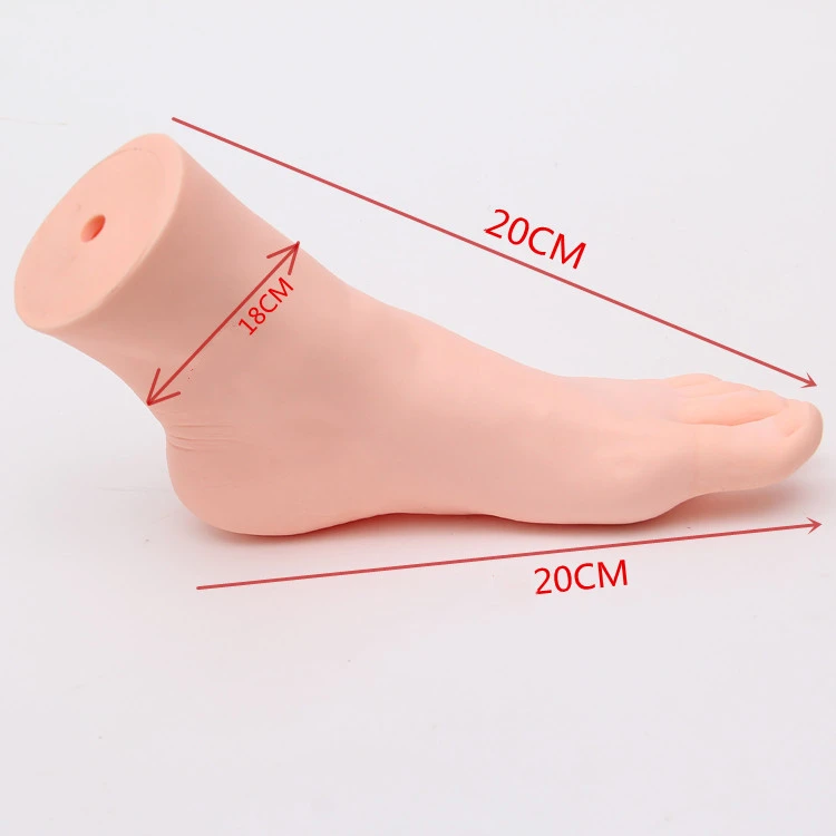 Artificial Foot Mold Plastic Matte Hollow Thickened Hard Female Foot Mold