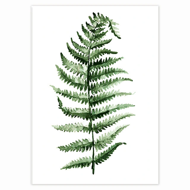 Tropical Plant Poster Navia Style Decorative Painting Green Leaf Art Modern Home Living Room Painting Core