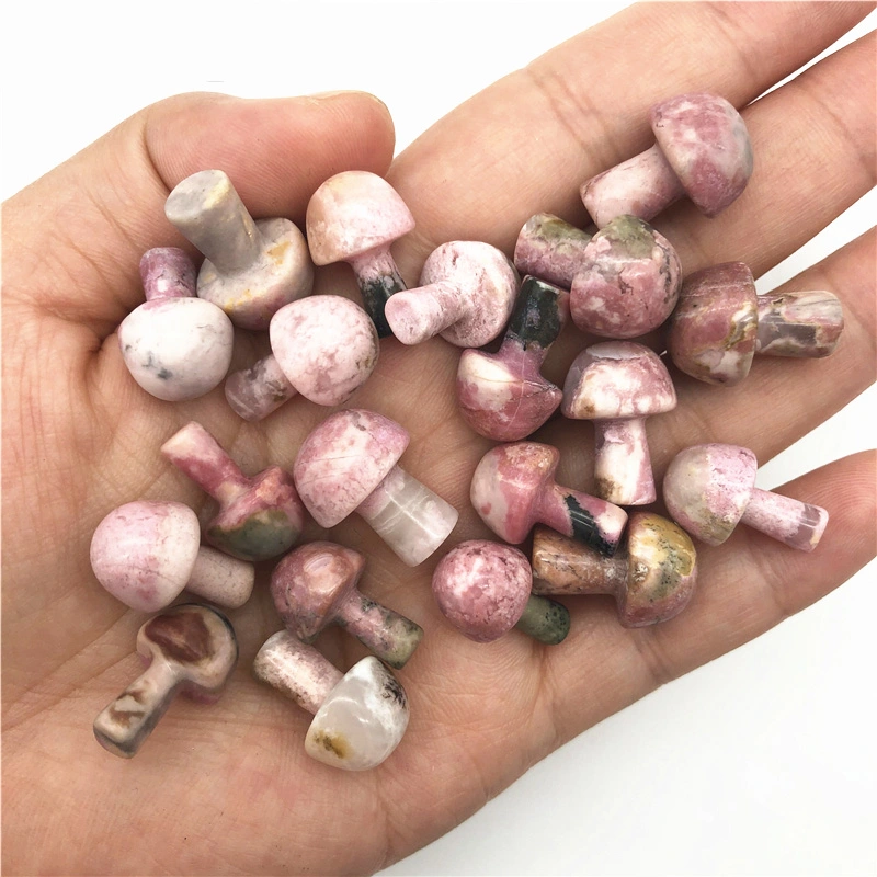 Natural Cute Mini Mushroom DIY Accessories