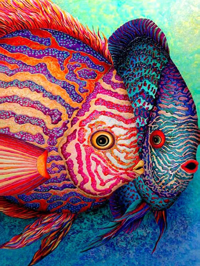 Rubik S Cube Round Diamond Painted Fish Diamond Painting