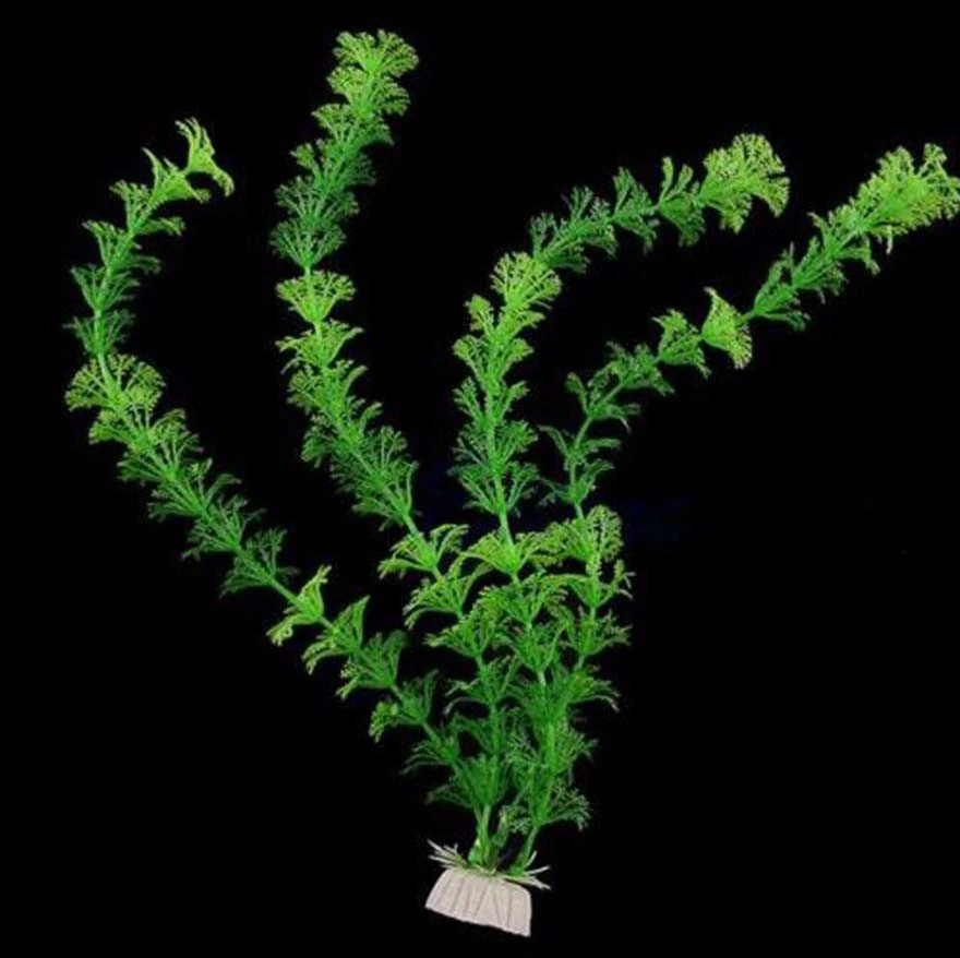 Fish Tank Landscaping Simulation Aquatic Plants Simulation Grass Green Tree Landscaping Decoration 3 Sections Of Vanilla Green