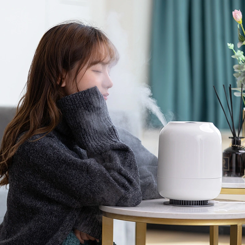 Humidity Control Desktop Timing Humidifier