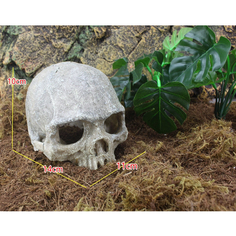 Tank Aquarium Decorates Landscape Skull