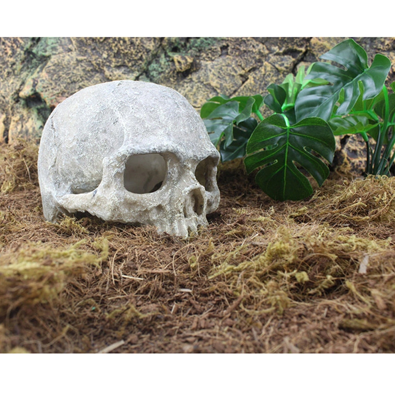 Tank Aquarium Decorates Landscape Skull