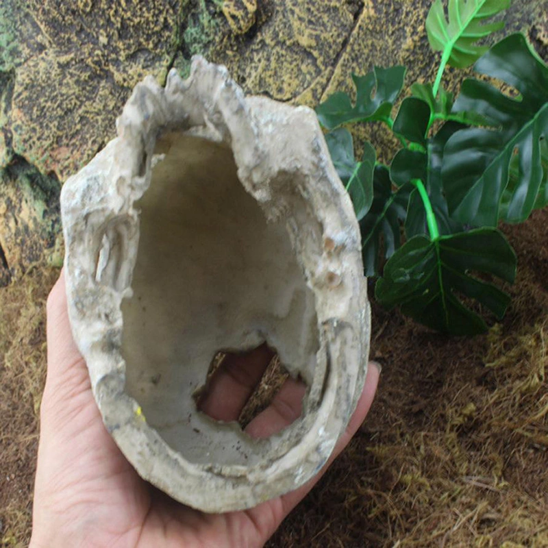 Tank Aquarium Decorates Landscape Skull