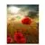 Red Flower Field-DIY Painting By Digital Kit