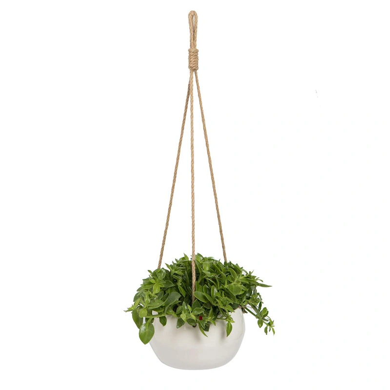 Spot Nylon Rope Hemp Rope Wall Hanging Ceramic Flowerpot Indoor Living Room Green Plants Succulent Potted Decoration