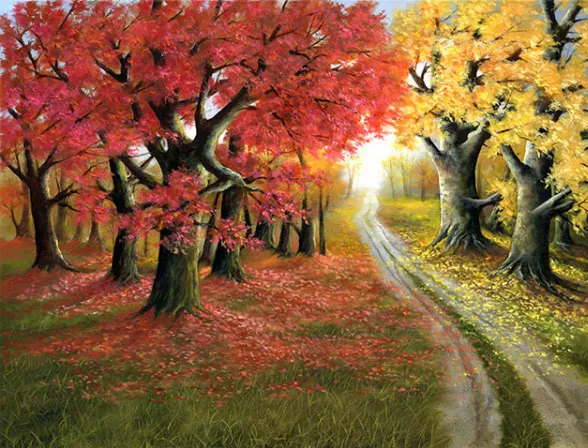 Autumn Splendor - DIY Painting By Numbers Kit